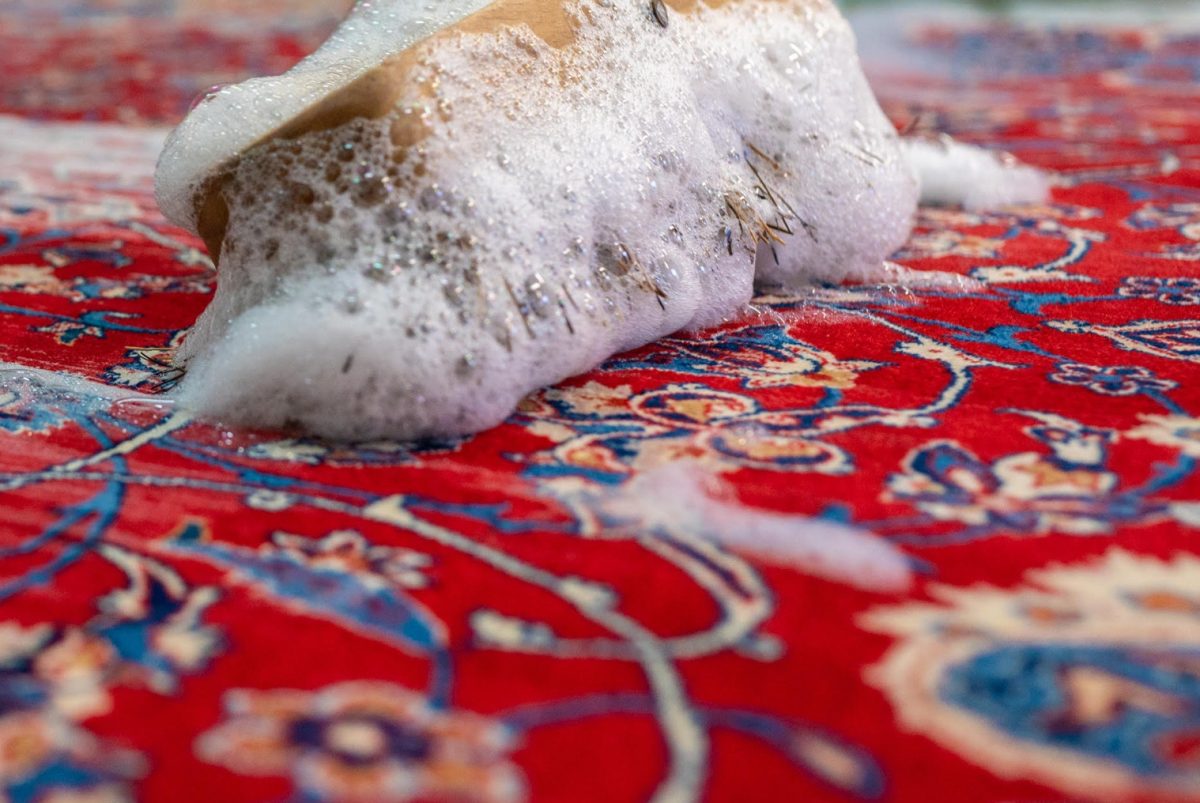 rug cleaning brush rug cleaning brush