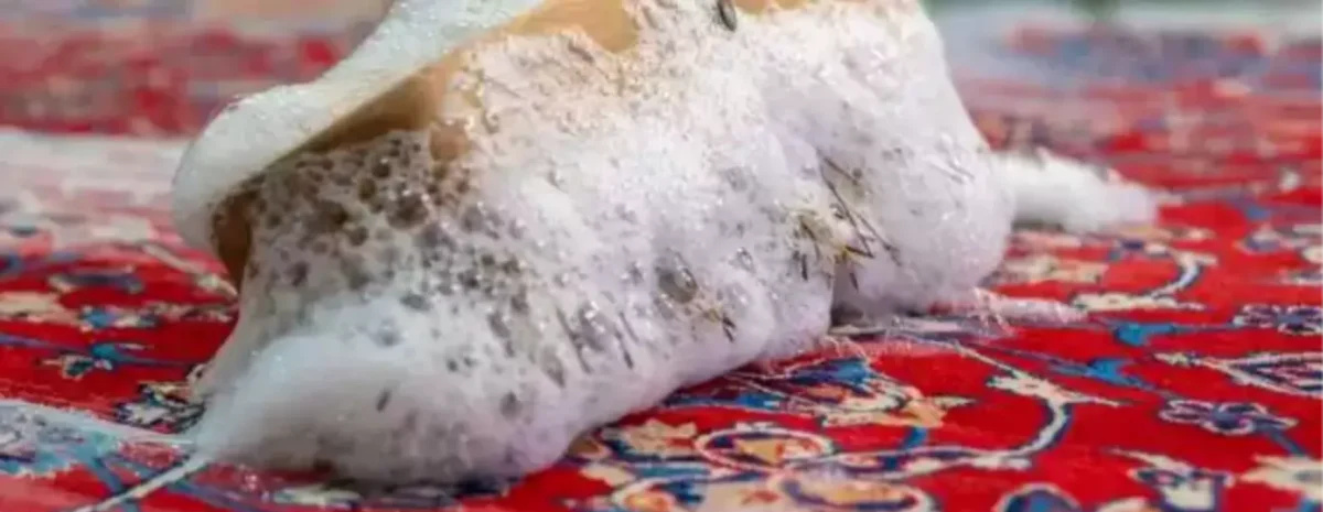 Persian rug cleaning